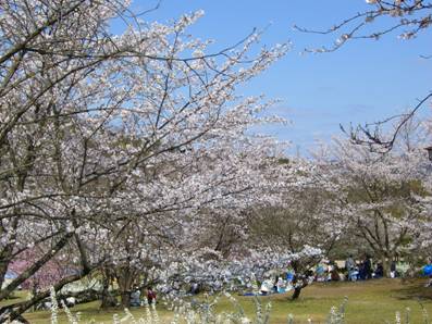 鏡山公園