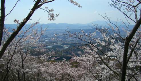 竜王山山頂から