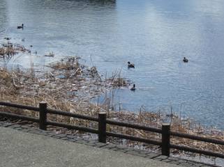 サイエンスパーク