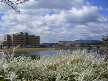 サイエンススパーク